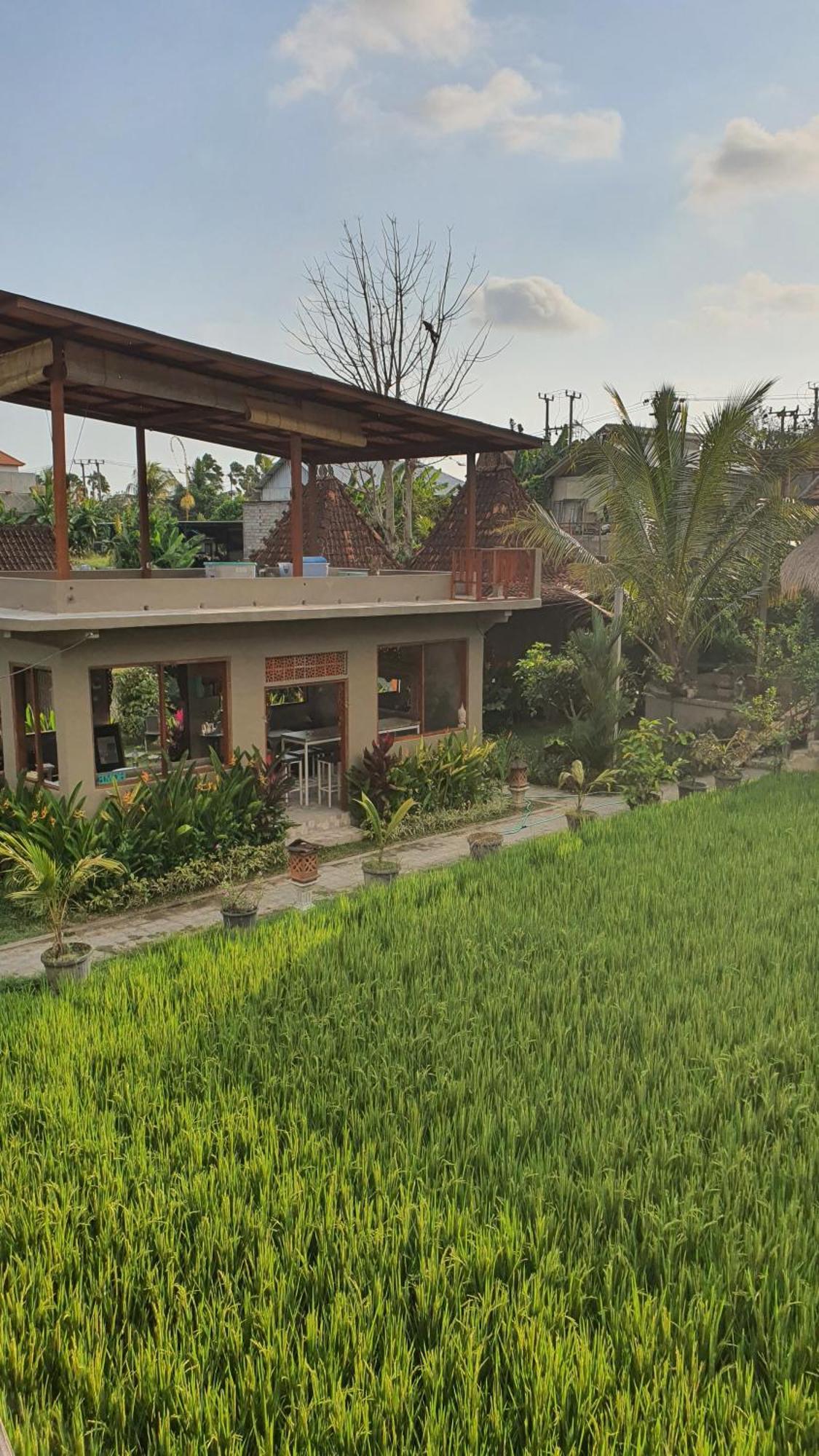 Ubud Rice Field House Екстер'єр фото