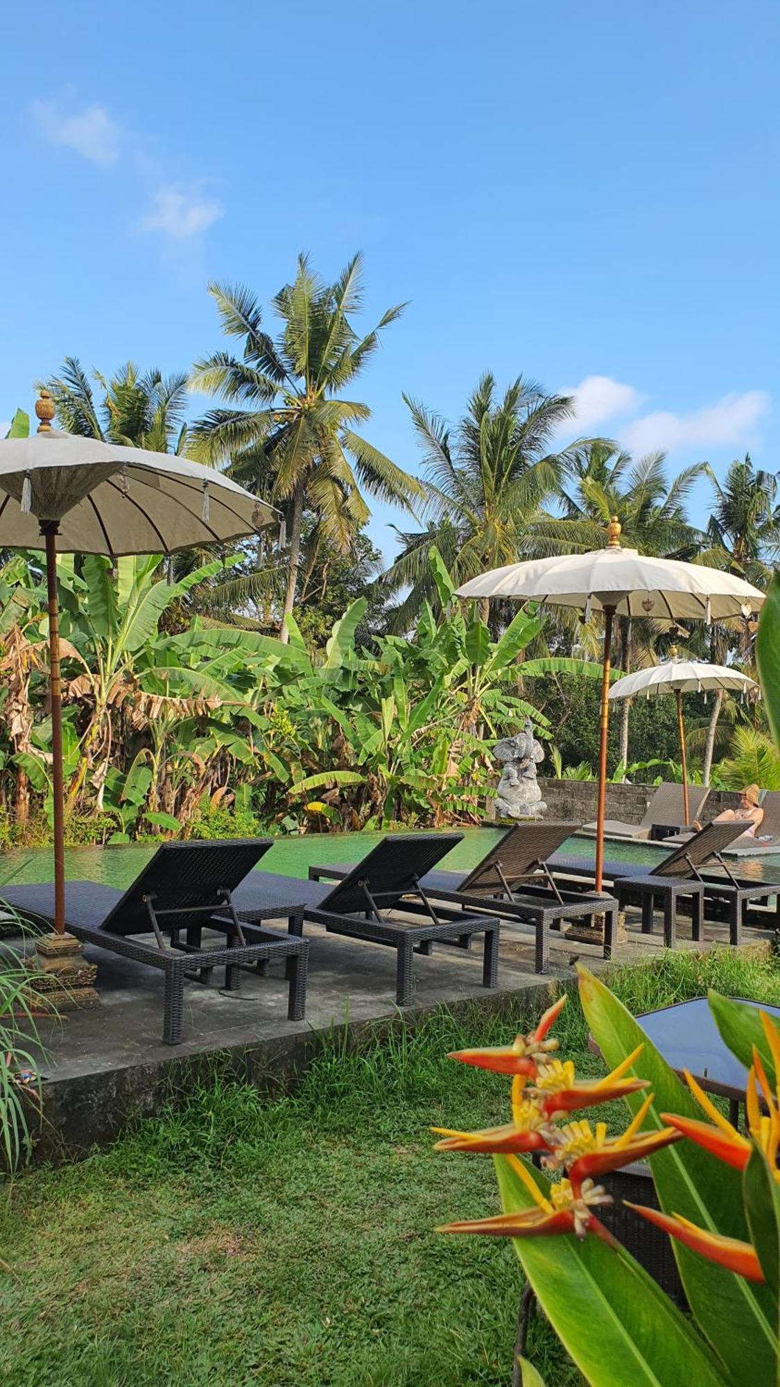 Ubud Rice Field House Екстер'єр фото