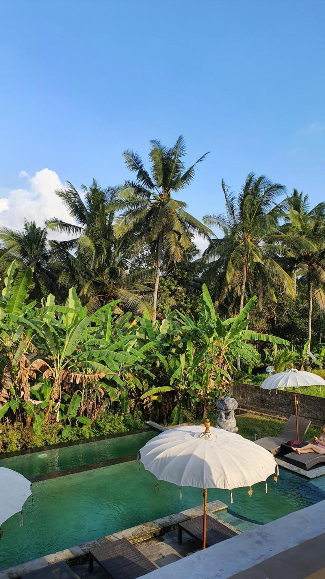 Ubud Rice Field House Екстер'єр фото